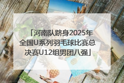 河南队跻身2025年全国U系列羽毛球比赛总决赛U12组男团八强