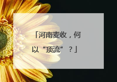 河南麦收，何以“顶流”？