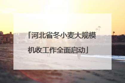 河北省冬小麦大规模机收工作全面启动