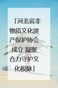 河北省非物质文化遗产保护协会成立 凝聚合力守护文化根脉