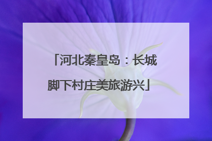 河北秦皇岛：长城脚下村庄美旅游兴