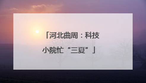 河北曲周：科技小院忙“三夏”