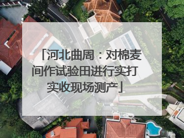 河北曲周：对棉麦间作试验田进行实打实收现场测产