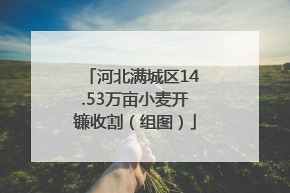 河北满城区14.53万亩小麦开镰收割（组图）