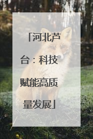 河北芦台：科技赋能高质量发展
