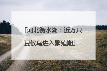 河北衡水湖：近万只夏候鸟进入繁殖期