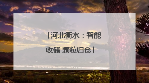 河北衡水：智能收储 颗粒归仓