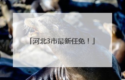 河北3市最新任免！