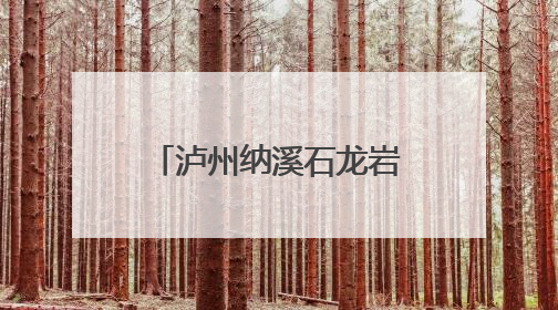 泸州纳溪石龙岩码头迈入万吨级船舶作业时代