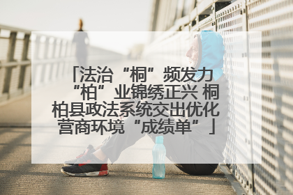 法治“桐”频发力 “柏”业锦绣正兴 桐柏县政法系统交出优化营商环境“成绩单”