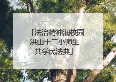 法治精神润校园 洪山十二小师生共学民法典