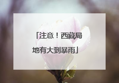 注意！西藏局地有大到暴雨