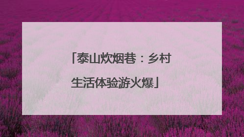 泰山炊烟巷：乡村生活体验游火爆