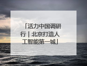 活力中国调研行｜北京打造人工智能第一城