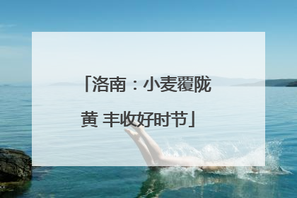 洛南：小麦覆陇黄 丰收好时节