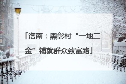 洛南：黑彰村“一地三金”铺就群众致富路
