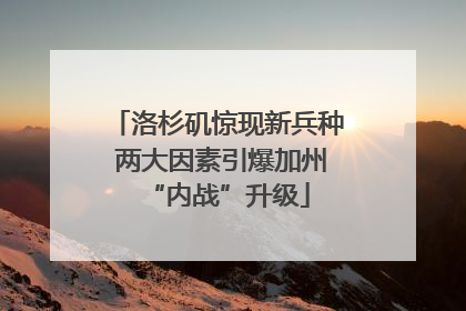 洛杉矶惊现新兵种 两大因素引爆加州“内战”升级