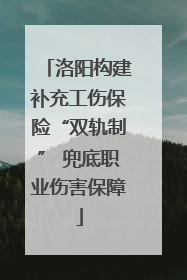 洛阳构建补充工伤保险“双轨制” 兜底职业伤害保障