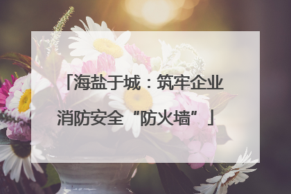海盐于城：筑牢企业消防安全“防火墙”