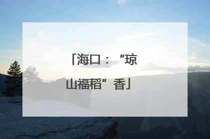 海口：“琼山福稻”香