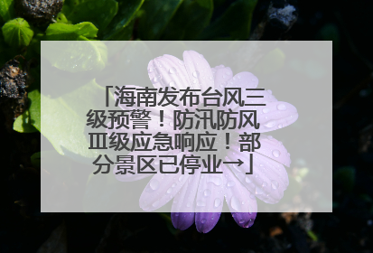 海南发布台风三级预警！防汛防风Ⅲ级应急响应！部分景区已停业→