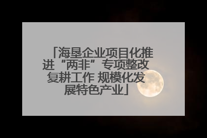 海垦企业项目化推进“两非”专项整改复耕工作 规模化发展特色产业