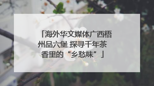 海外华文媒体广西梧州品六堡 探寻千年茶香里的“乡愁味”