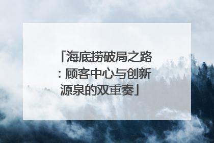 海底捞破局之路：顾客中心与创新源泉的双重奏