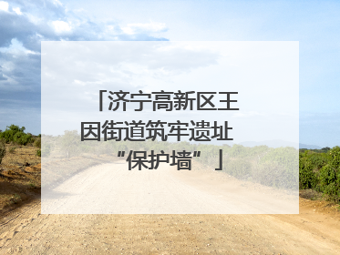 济宁高新区王因街道筑牢遗址“保护墙”
