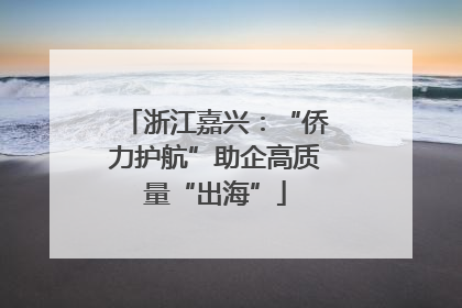 浙江嘉兴：“侨力护航”助企高质量“出海”