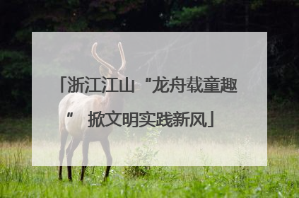 浙江江山“龙舟载童趣” 掀文明实践新风