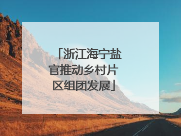 浙江海宁盐官推动乡村片区组团发展