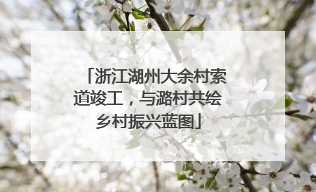 浙江湖州大余村索道竣工，与潞村共绘乡村振兴蓝图