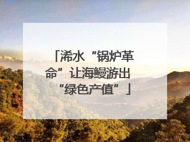 浠水“锅炉革命”让海鳗游出“绿色产值”