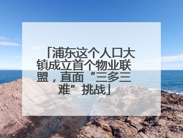 浦东这个人口大镇成立首个物业联盟，直面“三多三难”挑战