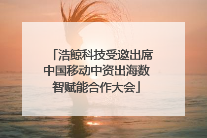 浩鲸科技受邀出席中国移动中资出海数智赋能合作大会