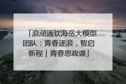 浪潮通软海岳大模型团队：青春逐浪，智启新程｜青春思政课