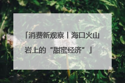 消费新观察丨海口火山岩上的“甜蜜经济”
