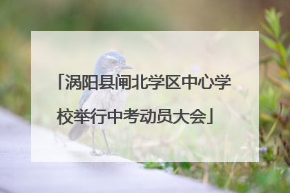 涡阳县闸北学区中心学校举行中考动员大会