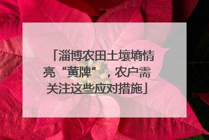 淄博农田土壤墒情亮“黄牌”，农户需关注这些应对措施