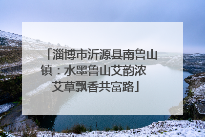 淄博市沂源县南鲁山镇：水墨鲁山艾韵浓 艾草飘香共富路