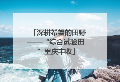 深耕希望的田野——“综合试验田”里庆丰收