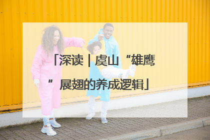深读｜虞山“雄鹰”展翅的养成逻辑