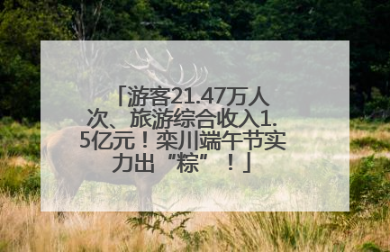 游客21.47万人次、旅游综合收入1.5亿元！栾川端午节实力出“粽”！