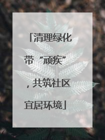 清理绿化带“顽疾”，共筑社区宜居环境