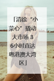 清徐“小菜心”撬动大市场 36小时直达粤港澳大湾区