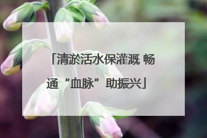 清淤活水保灌溉 畅通“血脉”助振兴