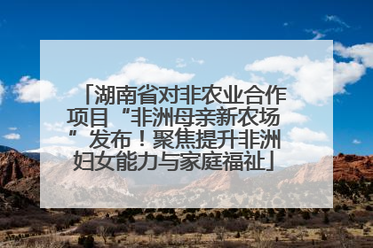 湖南省对非农业合作项目“非洲母亲新农场”发布！聚焦提升非洲妇女能力与家庭福祉