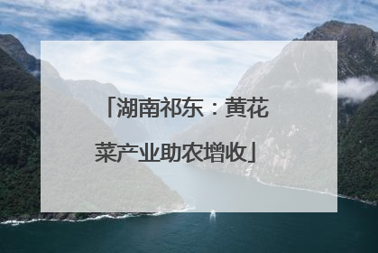 湖南祁东：黄花菜产业助农增收
