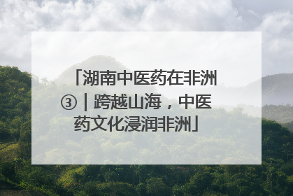 湖南中医药在非洲③｜跨越山海，中医药文化浸润非洲